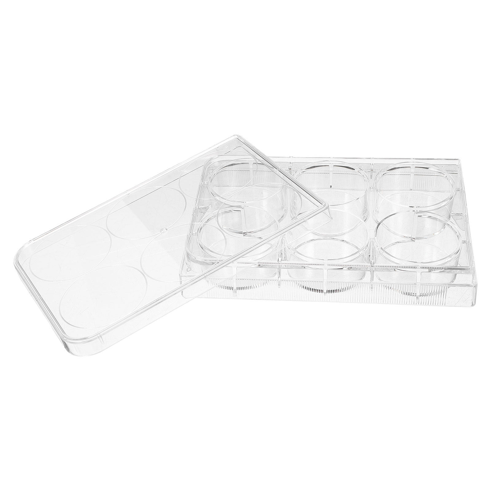 Lab Equipment - 조직 배양 플레이트 실험실용 내구성 있는