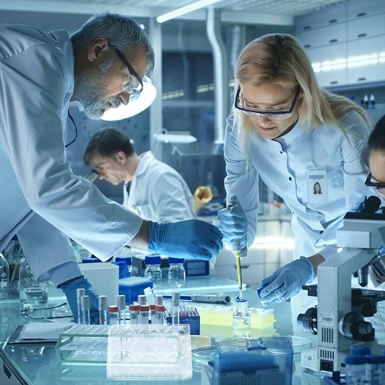 조직 배양 플레이트 실험실용 내구성 있는 실용적인 디자 - Lab Equipment 리뷰 및 가격